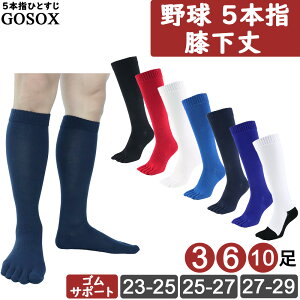 y 5{w\bNX 싅 w싅Ή z 5{wC ܖ{w\bNX ܖ{wC 싅\bNX Y fB[X WjA G O x[X{[ \tg{[ jȂ    zCg