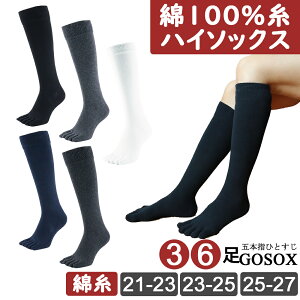 y 5{w\bNX fB[X 100 O nC\bNX G z ܖ{w\bNX 5{wC ܖ{wC      ubN  zCg 傫 n L O ₦ 