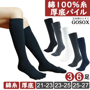 y 5{w\bNX pC fB[X 100 O nC\bNX G z ܖ{w\bNX 5{wC ܖ{wC      ubN  傫 n L ₦ ₦ 