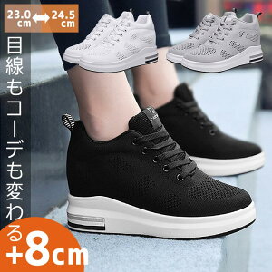 ySALEI4990~2490~Iz Xj[J[ fB[X V[Y bV jO EH[LO g[jOV[Y ^C W ₷ C Ȃ y nCJbg 킢 lC