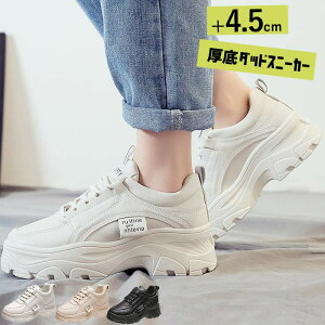 y2790~IN[|pŁzXj[J[ fB[X _bh V[Y _bh Xj[J[ EH[LO V[Y Cq[ ʊw    Xj[J[ ubN zCg r gAb