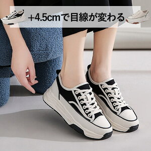 ySi10%N[|I26HzXj[J[ fB[X  C [Jbg LoX JWA Vv [XAbv V[Y t()^bo-904^ sale Z[