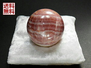  CJ[Y 48mmʁ@244g [hNTCg ӕʏ t XtBA H}Kz inca rose  @No.03