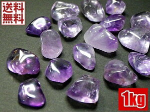 AWXg 1kgpbN 10`20~ 傫߃TCY  VR p[Xg[  uWYA  Ɩp S