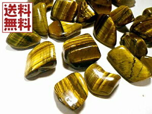 �^�C�K�[�A�C 100g�p�b�N 10�`20�~�� �Ֆڐ� Tiger's eye ���� ������ �S����������