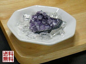  3_Zbg AWXgNX^[ VR q} NX^NH[c pM p[Xg[   N ֗p p Mtg 蕨 S No03