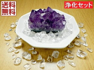  3_Zbg AWXgNX^[ VR pM q} NX^NH[c p[Xg[   N ֗p p Mtg 蕨 S No01