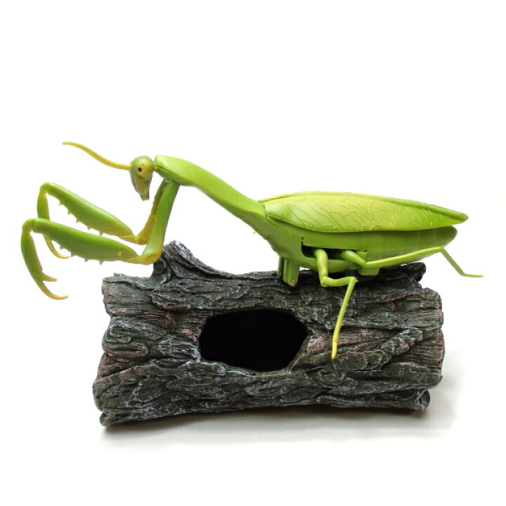 最大80 オフ 昆虫 イモ虫 ゴキブリ サソリ ムカデ カマキリ ラジコン おもちゃ 誕生日プレゼント 男の子 ハロウィン ドッキリ いたずら サプライズ リアル 虫 送料無料 Topdental Com Ar