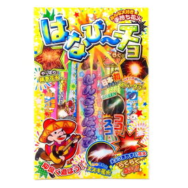 【花火・手持ち花火・線香花火】はなびーチョM