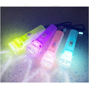 パステルライトLED 24個セット【ミニ懐中電灯 懐中電灯 光るおもちゃ 景品 玩具 縁日 お祭り LED イベント 子供会 販促 業務用】