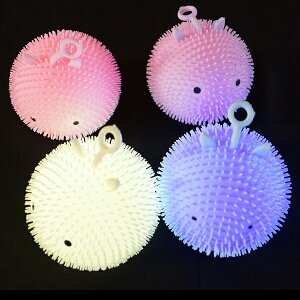 y邨z܂܂邭񃈁[[ 12Zbgy邨 蕨ߋ  Ղ čՂ ii  z