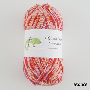 _TIME GOGO^ю y856zJIJ 2 E[ \bN[ chameleon i A - ҂ݕ | юsG ԕis