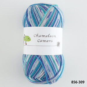 ю y856zJIJ 2 E[ \bN[ chameleon i A - ҂ݕ | юsG