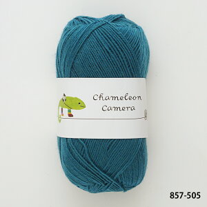 \TIME GOGO/毛糸 【857】カメレオンカメラ 2 ソリッド ウール ソックヤーン chameleon 単色 輸入糸 合細-中細 編み物 手芸 毛糸ピエロ 返品不可