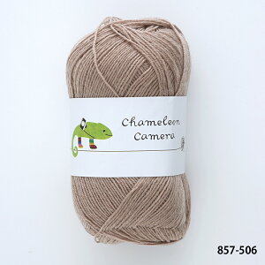 _TIME GOGO^ю y857zJIJ 2 \bh E[ \bN[ chameleon PF A - ҂ݕ | юsG ԕis