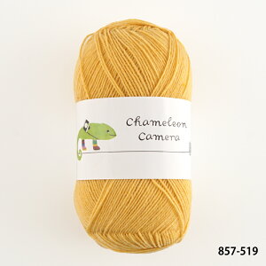 ю y857zJIJ 2 \bh E[ \bN[ chameleon PF A - ҂ݕ | юsG