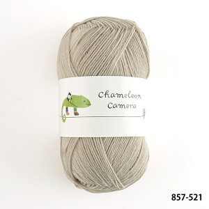 ю y857zJIJ 2 \bh E[ \bN[ chameleon PF A - ҂ݕ | юsG