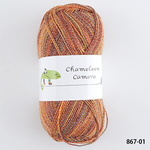 _TIME GOGO^ю y867zJIJ 2 T}[ chameleon - E[ Rbg iC A i \bN ҂ݕ | юsG ԕis