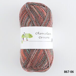 ю y867zJIJ 2 T}[ chameleon - E[ Rbg iC A i \bN ҂ݕ | юsG