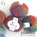 毛糸 【864】SORRISO（ソリッソ） ウール ナイロン 極太 輸入糸 段染め 編み物 手芸 毛糸ピエロ