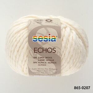 _TIME GOGO^ю y865zECHOSiGR[Yj E[ ApJ ɑ sesia A ҂ݕ | юsG ԕis