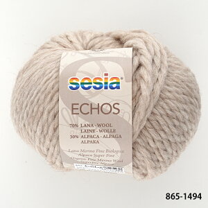 ю y865zECHOSiGR[Yj E[ ApJ ɑ sesia A ҂ݕ | юsG