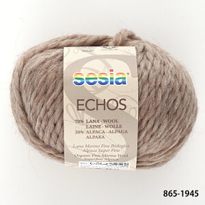 _TIME GOGO^ю y865zECHOSiGR[Yj E[ ApJ ɑ sesia A ҂ݕ | юsG ԕis