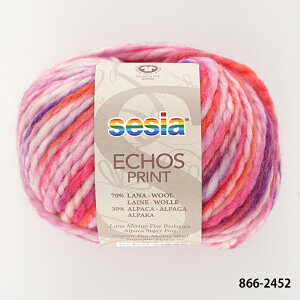 ю y866zECHOS PRINTiGR[Y vgj E[ ApJ ɑ sesia A ҂ݕ | юsG