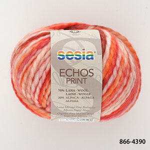 ю y866zECHOS PRINTiGR[Y vgj E[ ApJ ɑ sesia A ҂ݕ | юsG