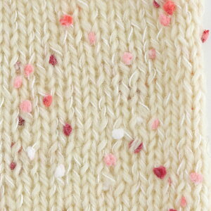 ю y1339zt{[Y_u E[  _u t@V[[ || AN Framboise ҂ݕ | юsG