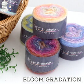 毛糸 【871】ブルームグラデーション アクリル ウール 段染め グラデーション 編み物 手芸 毛糸ピエロ