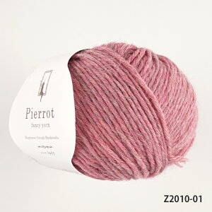 ю yZ2010zOfB[ E[ ApJ  ҂ݕ | юsG