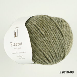 ю yZ2010zOfB[ E[ ApJ  ҂ݕ | юsG