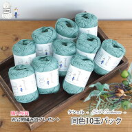 ＼TIME GOGO／まとめ買い 毛糸 【F1244】クシェル -シルクカシミヤ- 同色10玉パック 絹 シルク カシミヤ …