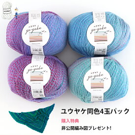 ＼TIME GOGO＆期間限定P10倍／【F855S】ユウヤケ 同色4玉パック ウール 輸入糸 段染め グラデーション 編み物 手芸 毛糸 まとめ買い 数量限定 返品不可