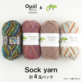 ＼TIME GOGO&期間限定P7倍／毛糸 まとめ買い 【SK4】ソックヤーン4玉パック ソックヤーン Opal chameleon 段染め 輸入糸 編み物 手芸 毛糸ピエロ 数量限定 返品不可