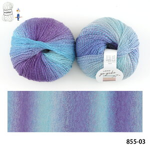 _TIME GOGO^yF855SzEP F4ʃpbN E[ A i Of[V ҂ݕ | ю ܂Ƃߔ ʌ ԕis