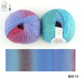 ＼TIME GOGO／毛糸 【855】ユウヤケ ウール 輸入糸 段染め グラデーション 編み物 手芸 毛糸ピエロ 返品不可