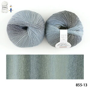 _TIME GOGO^yF855SzEP F4ʃpbN E[ A i Of[V ҂ݕ | ю ܂Ƃߔ ʌ ԕis