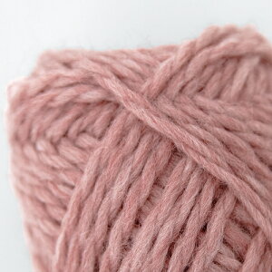 �ю� �y209�z�x�[�V�b�N�ɑ� �E�[�� ���ɑ� �҂ݕ� ��| �ю��s�G��