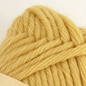 ю y521z\tgmɑ E[ ɑ m ҂ݕ | юsG