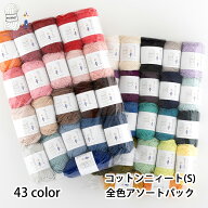 毛糸 まとめ買い【AP665】コットンニィート（S） 全色アソートパック コットン 綿 編み物 手芸 毛糸ピエ…