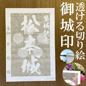 {󁚘a؂Ǧ󁚌 oLOy؂G aF nKLTCY {3702zVIWi lC101 [U[Jbg肦 