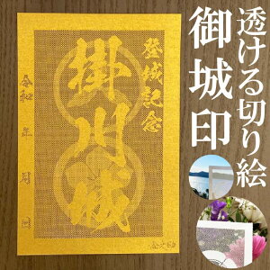 |󁚋FS[hF̎؂Ǧ󁚌 oLOy؂G (S[h)F nKLTCY |3729zVIWi lC128 [U[J