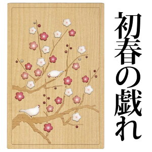 iIтFq  Tokyo Tokyo  Č xmR  gt  t̋Y  ~)y Iׂ 8259z  [o  唻  ؐ  [U[ 