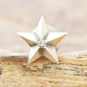 amp japan(AvWp)X^[ sAX COY fB[XVo[ 925  XtXL[nhCh WG[uh 8AH-174yЎzy1zyMtgΉz