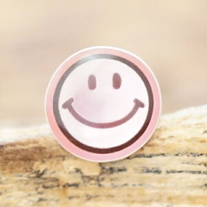 amp japan(AvWp)X}C sAX COY fB[XVo[925 G|LV sN jR VvVo[ANZT[  ׍HNOAJ-500pinky1zyMtgz