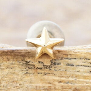 amp japan(AvWp)10S[h X^[ sAX CO10k k10   v` VvY fB[XnhCh WG[t@bV uh 11AH-801y1zyMt