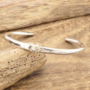 amp japan(AvWp)oO Y Vo[X}C jRS[h 10K K10 10X^[ X^v Vo[ANZT[  ׍HnhCh WG[14AO-350k10yMtg