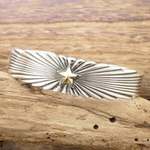 amp japan(AvWp)CfBAWG[ oO YVo[ 925  X^[  X^v t@bV uh nhCh WG[15AH-330yMtg